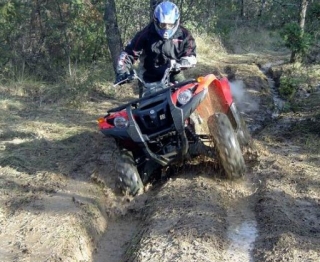 Le Quad dans tout ses etats